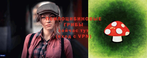 гидра Абаза