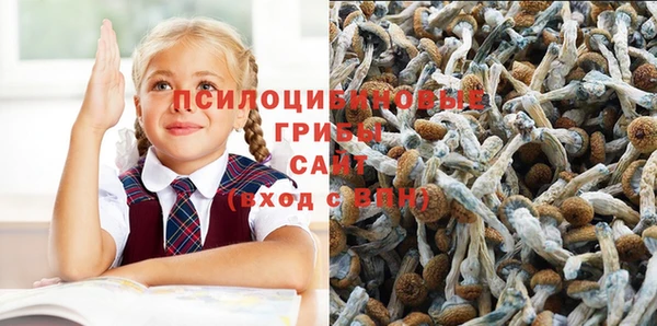 гидра Абаза