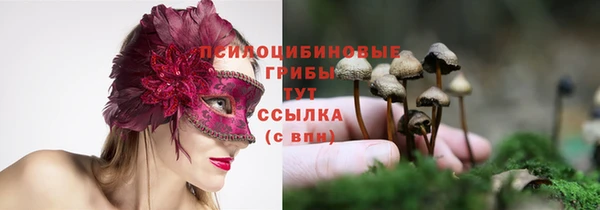 индика Абдулино