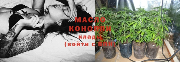 гидра Абаза