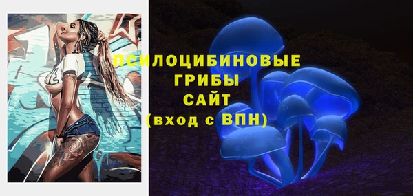 индика Абдулино