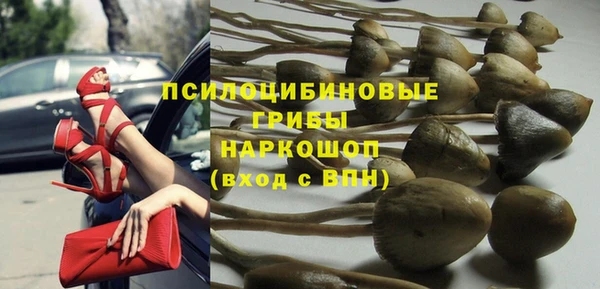 индика Абдулино