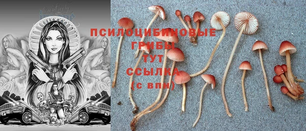 гидра Абаза