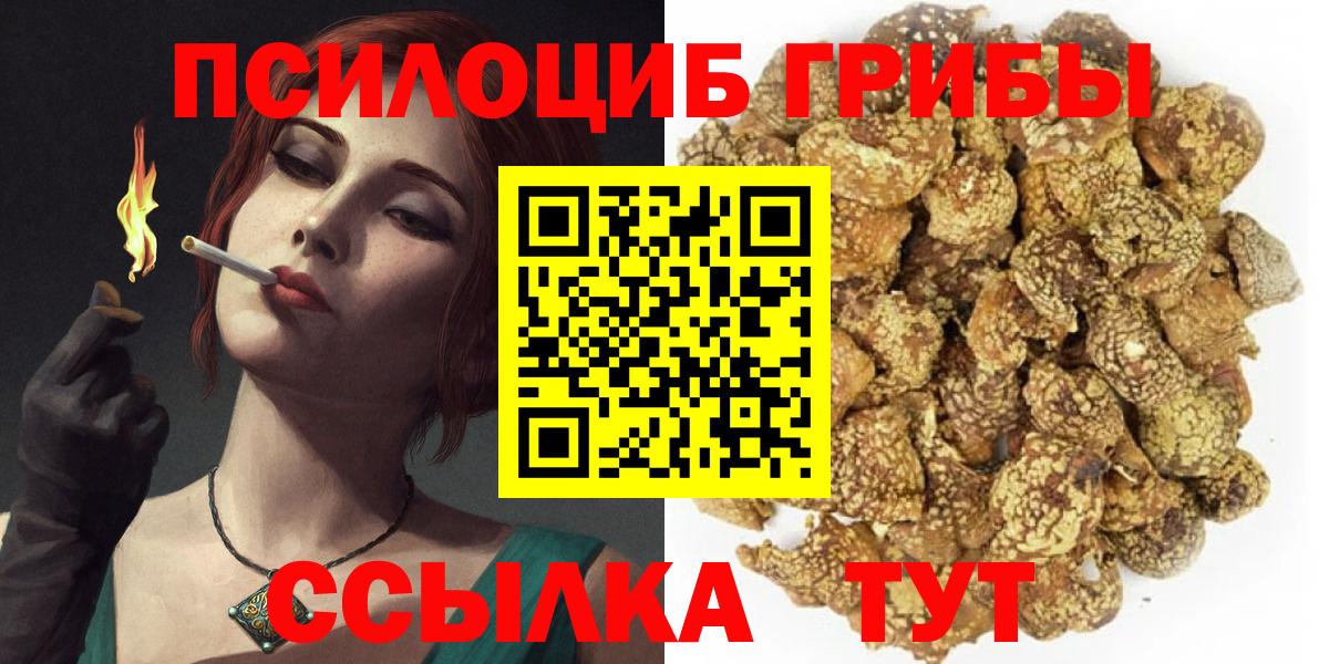 Стрежевой  Галлюциногенные грибы Psilocybine cubensis  Галлюциногенные грибы GOLDEN TEACHER  Вход с VPN 