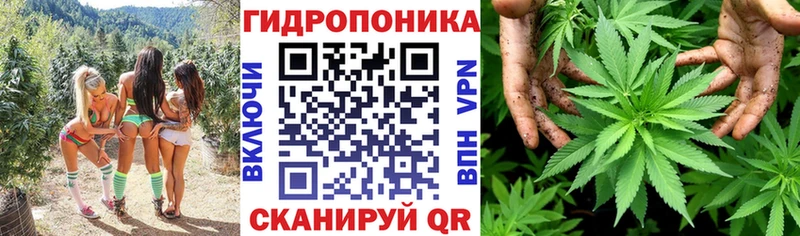 сколько стоит  ссылка на мегу ссылка  Каннабис SATIVA & INDICA  Стрежевой 